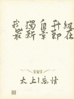 我独自升级小说最新章节在线阅读封面