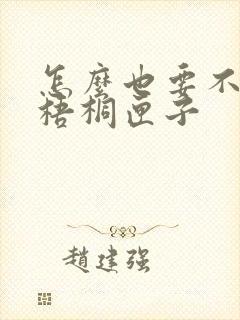 怎么也要不够她梧桐匣子