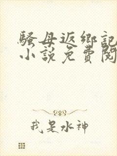 骚母返乡记二篇小说免费阅读