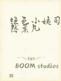 绝色小姨司空嫣然叶凡