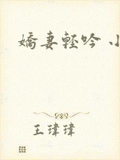 娇妻轻吟 小说封面