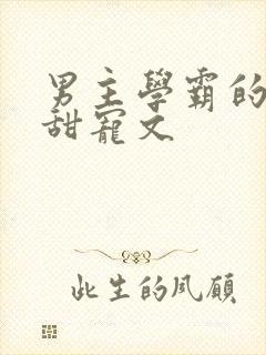 男主学霸的校园甜宠文