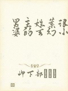 男主姓叶很多老婆的玄幻小说