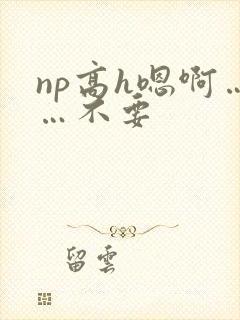 np高h嗯啊……不要
