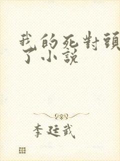 我的死对头破产了小说封面