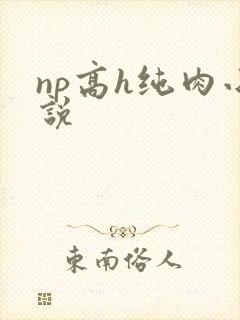 np高h纯肉小说