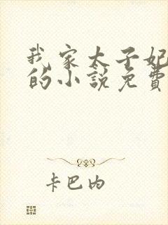 我家太子妃超凶的小说免费阅读