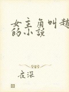 女主角叫赵蒹葭的小说