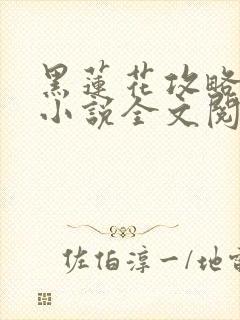 黑莲花攻略手册小说全文阅读免费封面