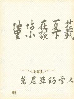 他站在夏花绚烂里小说下载