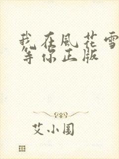 我在风花雪月中等你正版