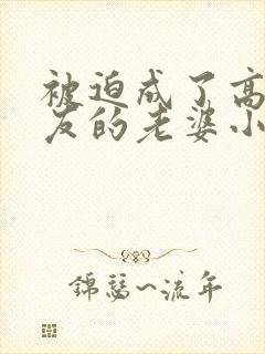 被迫成了高冷室友的老婆小说阅读免费封面