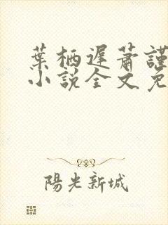 叶栖迟萧谨行的小说全文免费阅读