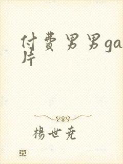 付费男男gay片封面