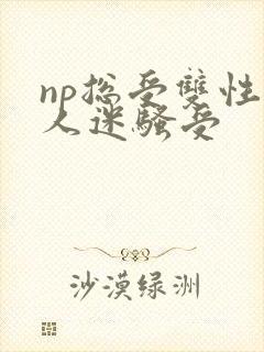 np总受双性万人迷骚受