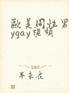 欧美同性男boygay视频