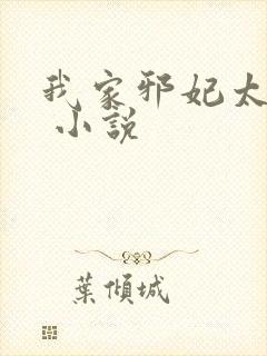 我家邪妃太嚣张 小说