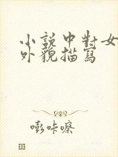 小说中对女主的外貌描写