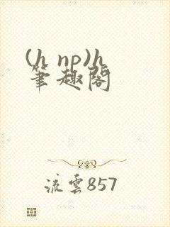 (h np)h笔趣阁封面