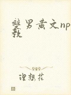 双男黄文np调教