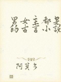 男女主都是将军的古言小说