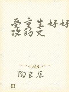 受重生好好珍惜攻的文