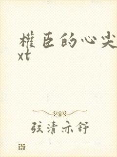 权臣的心尖啾txt