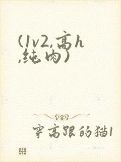 (1v2,高h,纯肉)