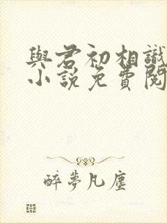 与君初相识原著小说免费阅读