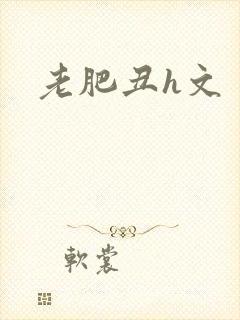 老肥丑h文