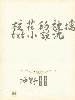 校花的被擒日常txt小说沈