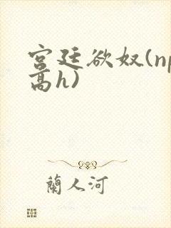 宫廷欲奴(np高h)