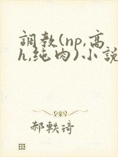 调教(np,高h,纯肉)小说