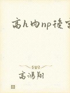 高h肉np后宫