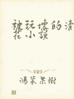 被玩坏的清纯校花小说