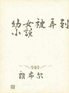 幼女被弄到高潮小说封面