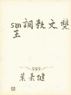sm调教文双男主