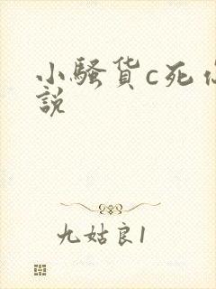 小骚货c死你小说
