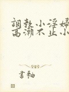 调教小淫妇失禁高潮不止小说