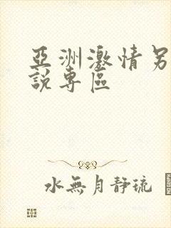 亚洲激情另类小说专区