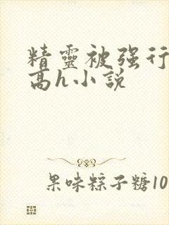 精灵被强行侵犯高h小说