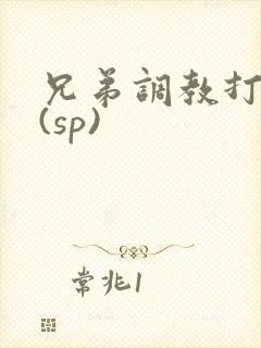 兄弟调教打屁股(sp)封面