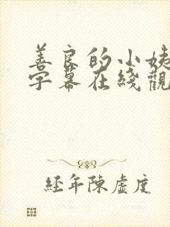 善良的小姨中文字幕在线观看封面