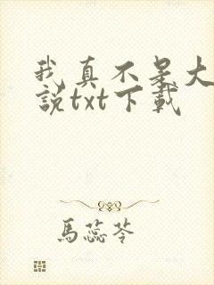 我真不是大佬小说txt下载