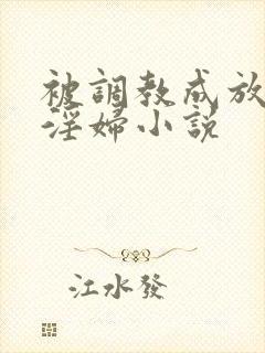被调教成放荡小淫妇小说
