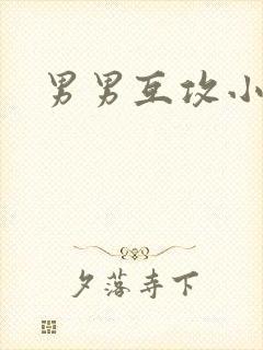 男男互攻小说h