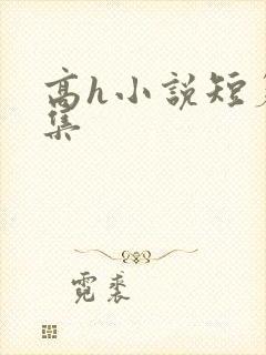 高h小说短篇合集封面