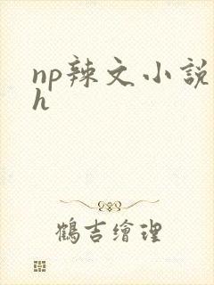 np辣文小说高h封面