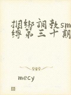 捆绑调教sm束缚第三十期