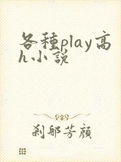 各种play高h小说